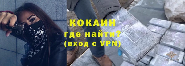 хмурый Абаза