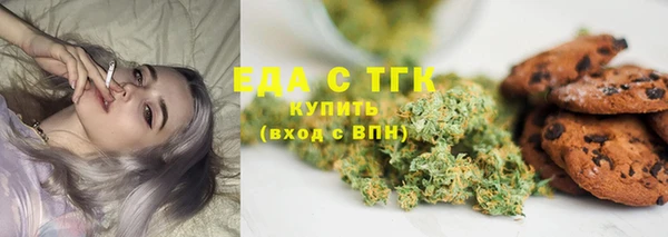 хмурый Абаза