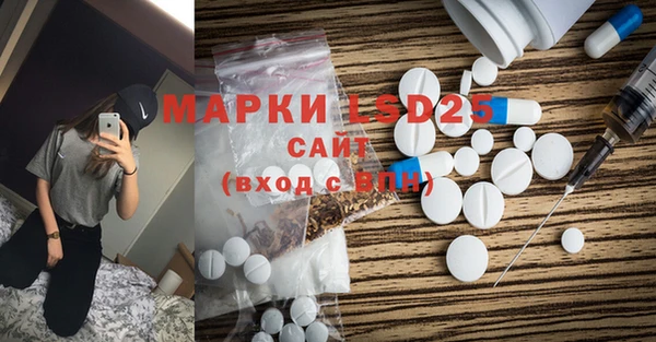 хмурый Абаза