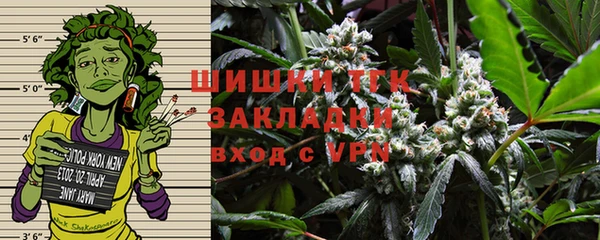 хмурый Абаза