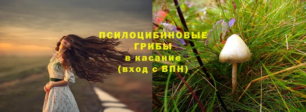 стафф Абдулино