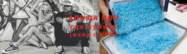хмурый Абаза