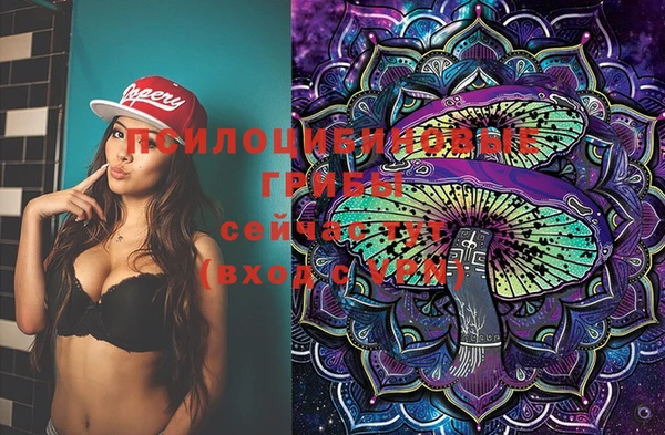 стафф Абдулино