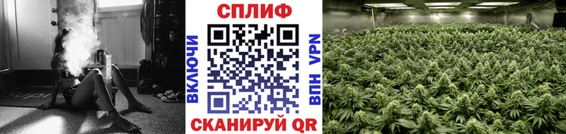 купить закладку  Емва  Бошки марихуана конопля 